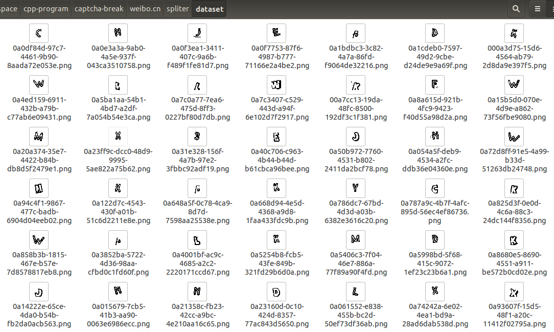 dataset.png